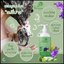 แชมพูสมุนไพร แฟรี่ปาย Fairypai Shampoo สูตรเร่งผมยาว x3 โฉมใหม่