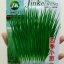 หอมแบ่ง - Welsh Onion