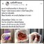 เมลาโทนินกัมมี่ กลิ่นสตอเบอร์รี่ ช่วยนอนหลับง่าย Natrol Melatonin Gummies