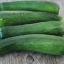 ซูกินี่สีเขียว - Dark Green Zucchini