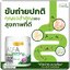 อัลฟาฟ่า คลอโรฟิลล์ Alfa Chlorophyll Plus Fiber