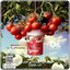 Lelany Lytometo Plus (1แถม1)