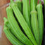 กระเจี๊ยบมอญผลยาว - Perkins Long pod Okra