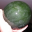 แตงโมเบบี้ชูการ์ - Baby Sugar Watermelon