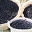 มากี้เบอร์รี่ - Maquiberry