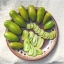 มะเขือเทศซอสเซจสีเขียว - Green Sausage Tomato