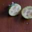 ฝรั่งสับปะรด - Pineapple Guava (Feijoa sellowiana)