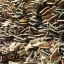 Converse & Vans