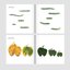ใบไม้แปลงร่าง(ปกอ่อน) หนังสือภาพ Non-fiction 3-5 ปี