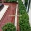 สปริงเกลอร์ พฤกษ์ภิรมย์ regent ราชพฤกษ์-รัตนาธิเบศร์