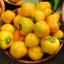 พริกฟักทองสีเหลือง - Yellow Pimento Pepper