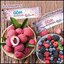 จีดีเอ็ม บลอสซั่ม เจลลี่ GDM Blossom Jelly ผลิตภัณฑ์ลดน้ำหนักรูปแบบใหม่