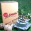 Motor มอเตอร์ พัดลม คอยล์ร้อน อะไหล่ สำหรับ เครื่องปรับอากาศ แอร์ เทรน TRANE สำเนา สำเนา สำเนา สำเนา