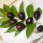 ต้นเชอร์รี่ริโอแกรนด์ - Cherry of Rio Grande (Eugenia involucrata)