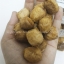 มารูล่า - Marula