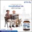 Veta-D วีต้าดี อาหารเสริมสำหรับดูแลดวงตา (ของแท้ ส่งฟรี)