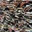 Converse & Vans
