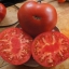 มะเขือเทศมาร์กทเวน - Mark Twain Tomato