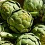 อาร์ติโชค - Green Globe Artichoke