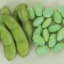 ถั่วแระญี่ปุ่นมิโดริ - Midori Giant Edamame
