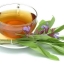 เสจ - Sage