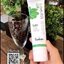 ยาสีฟันแฮวอน Haewon Toothpaste 2 in 1