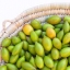 อาร์กัน - Argan
