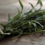 ทาร์รากอน - Tarragon