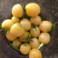 มะเขือเทศเชอรี่สีขาว - White Cherry Tomato