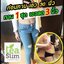 ทีสลิม ชาสมุนไพรลดไขมัน Tea Slim (โปร 1 แถม 1)