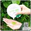 โดสแอปเปิ้ลเขียว Berich Green Apple+ White Does