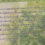นิยาย boyfriend company มือสอง