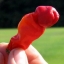 พริกกระจู๋สีแดง - Red Peter Pepper