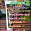 ครีมรากโสมสด ขาวเร็วx2 By เนยสด สูตรใหม่