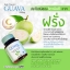 วิตามินซีฝรั่ง (Guava Hight Vitamin C 1,000 mg)