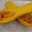 ฟักทองฮันนี่ - Honey Pumpkin