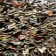 Converse & Vans