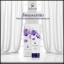 โลชั่นน้ำหอม คาร่า CARA Perfume Body Lotion