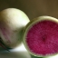 แรดิชแตงโม - Watermelon Radish