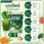 น้ำผักชงผอม Nine Vegetable น้ำผักไนน์เวทเจท ดีท็อกซ์