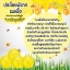 มาส์กลูกผึ้ง (B'secret Golden Honey Ball)