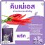 คินเน่เอส Kinne'S