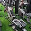 เครื่องเดินวงรี Elliptical MuscleX S610E
