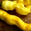 พริกกระจู๋สีเหลือง - Yellow Peter Pepper