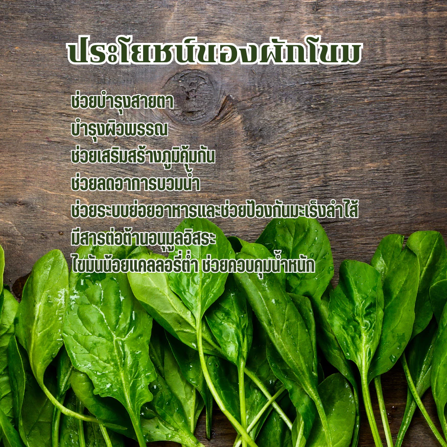 ผักโขม ขนาดทดลอง 20 กรัม ผงผักโขม 100 % 👍🏻 0% น้ำตาล ไม่มีสารกันเสีย 🌿 ผงผักโขม 100% ขนาดทดลอง 20g | 0% น้ำตาล ไม่มีสารกันเสีย | Spinach Powder Natural | ทำเครื่องดื่ม เบเกอรี่ อาหาร
